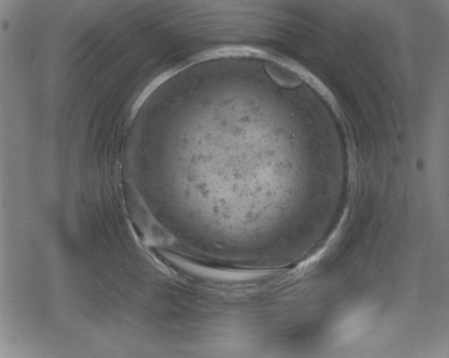 X0000078890953200611131226