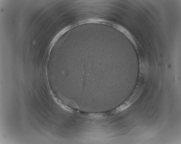 X0000078890954200611131226