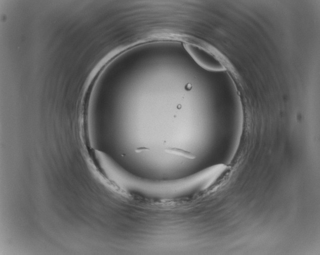 X0000078890955200611131226