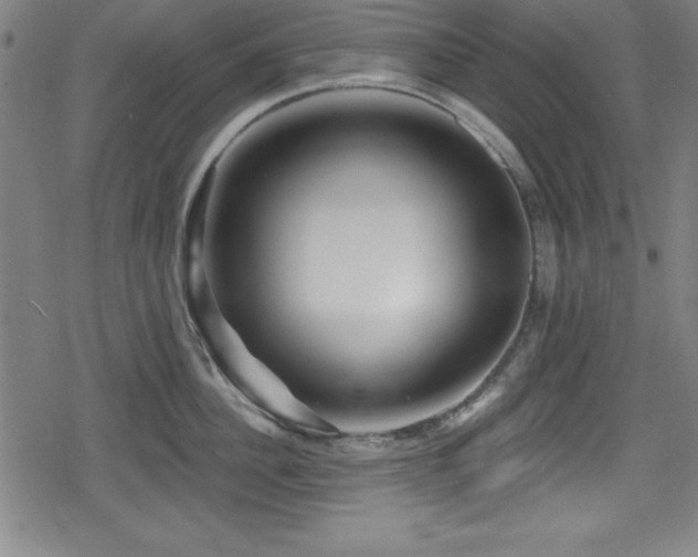 X0000078890956200611131226