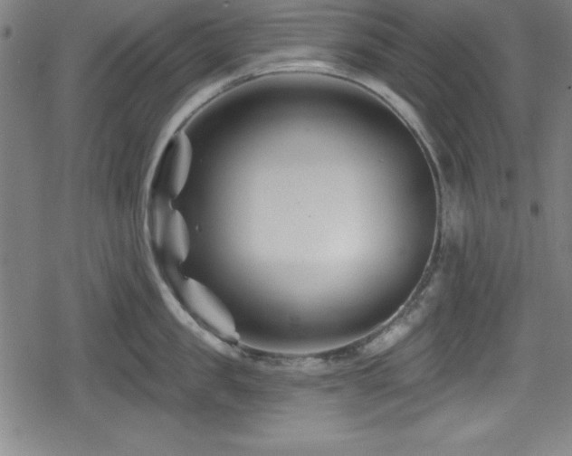 X0000078890957200611131226