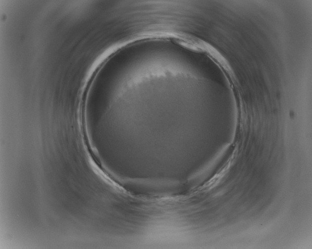 X0000078890958200611131227