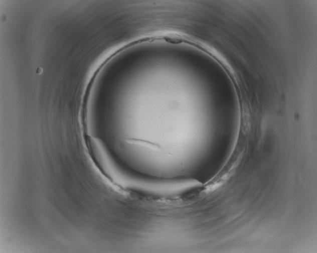 X0000078890959200611131227