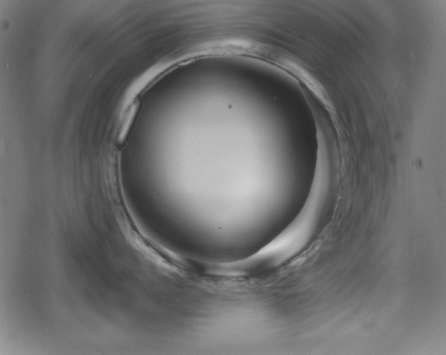 X0000078890960200611131227