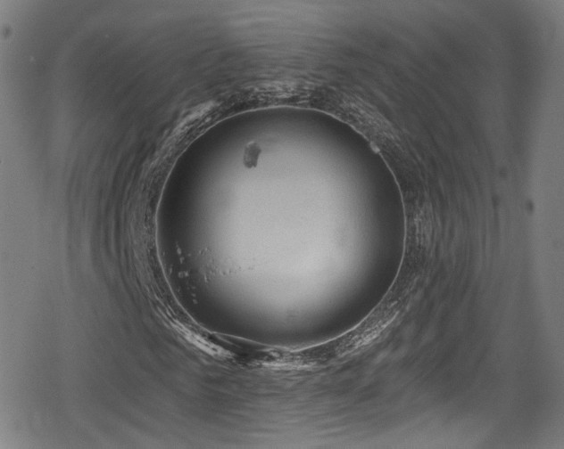 X0000078890961200611131226