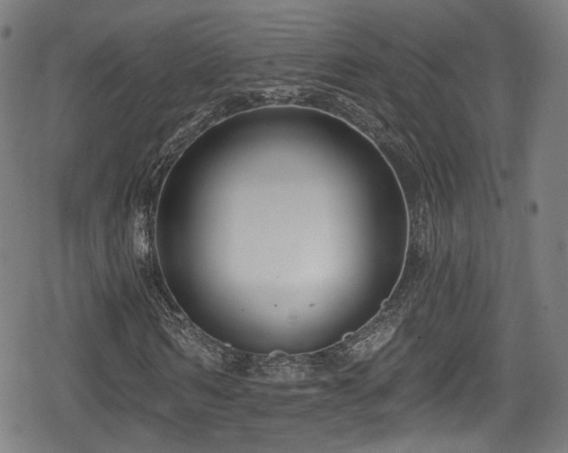 X0000078890962200611131226