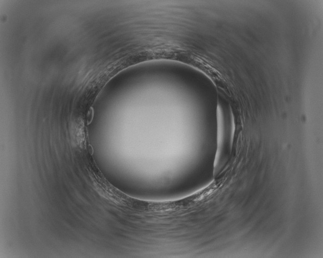 X0000078890963200611131226