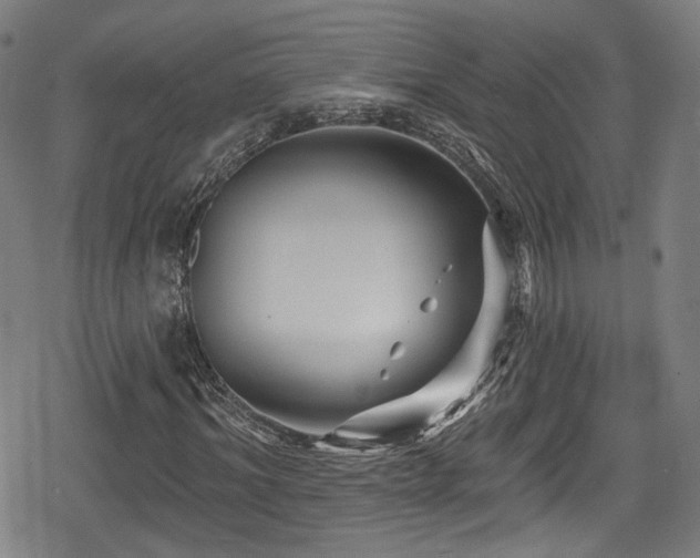 X0000078890964200611131226