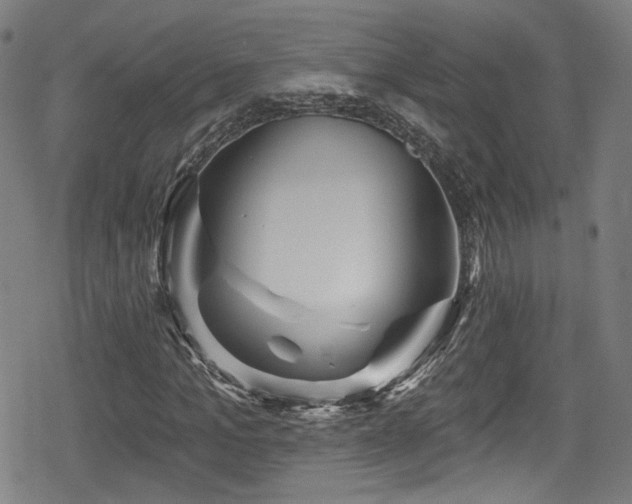 X0000078890965200611131226