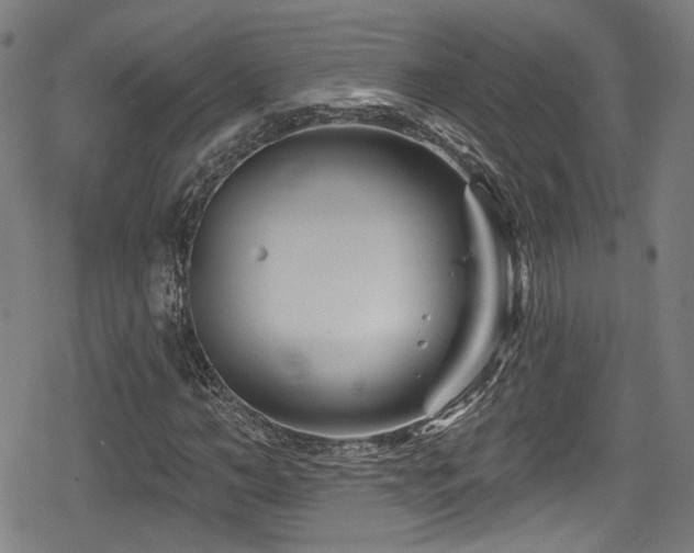 X0000078890966200611131226