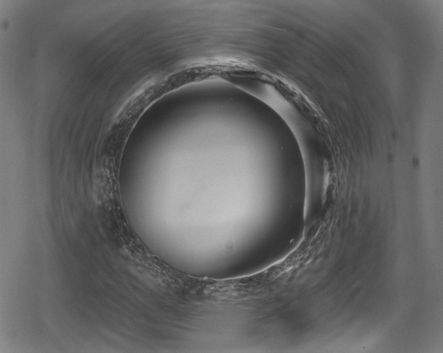 X0000078890967200611131226