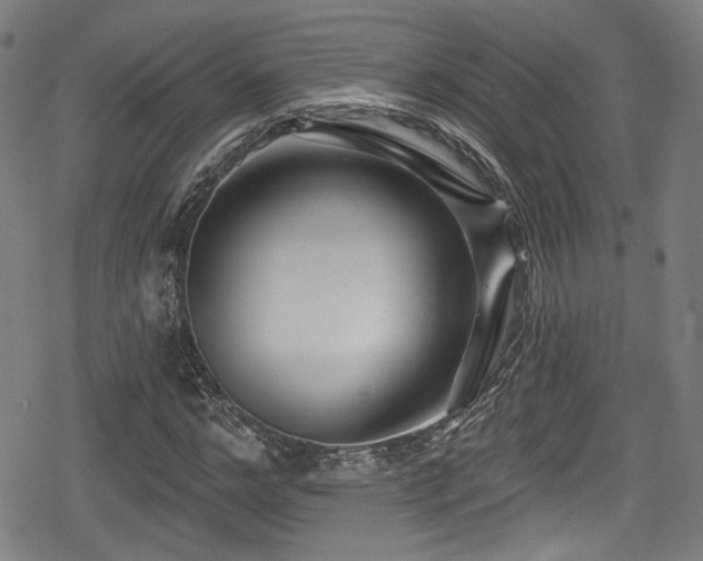 X0000078890968200611131226