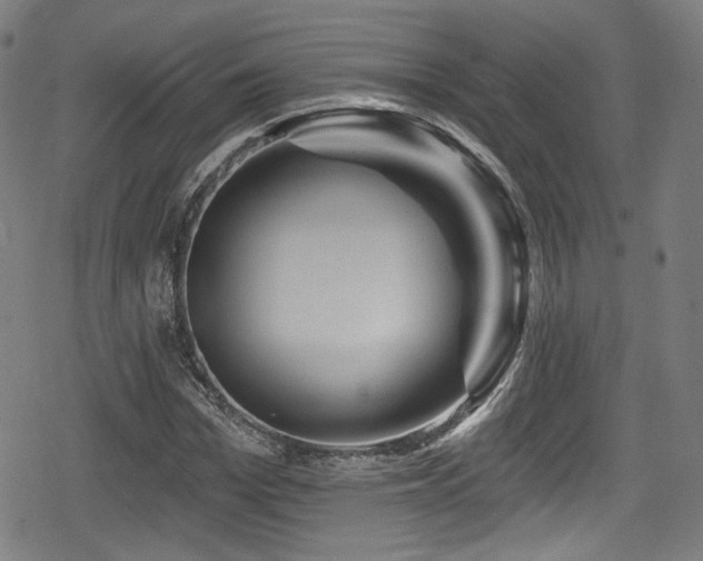 X0000078890969200611131226