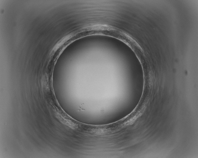 X0000078890970200611131226