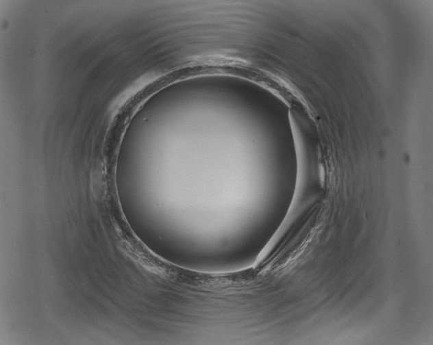 X0000078890971200611131226