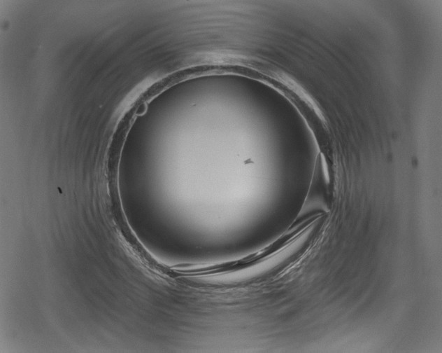 X0000078890972200611131226