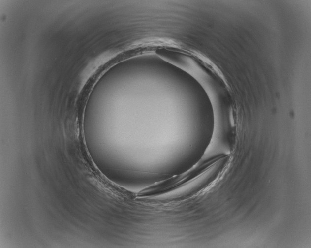 X0000078890973200611131226