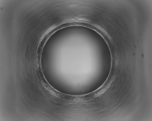 X0000078890974200611131226