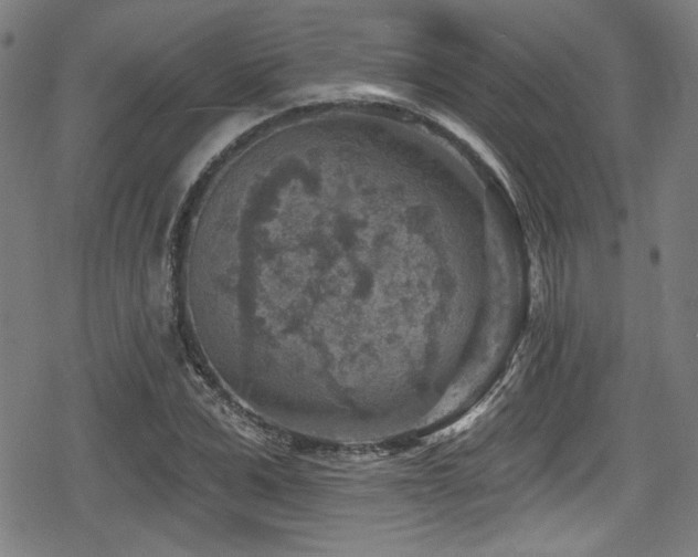 X0000078890975200611131226