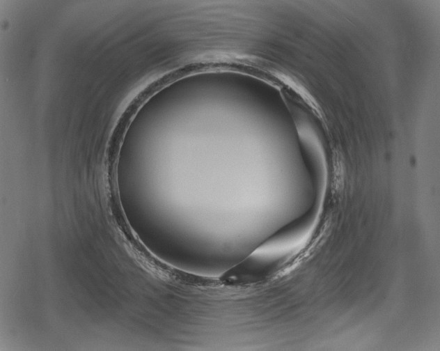 X0000078890976200611131226