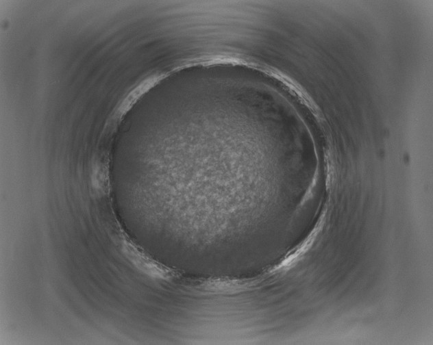 X0000078890977200611131225