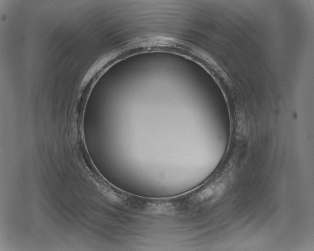 X0000078890978200611131225