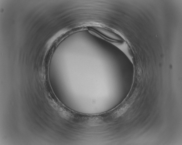 X0000078890979200611131225