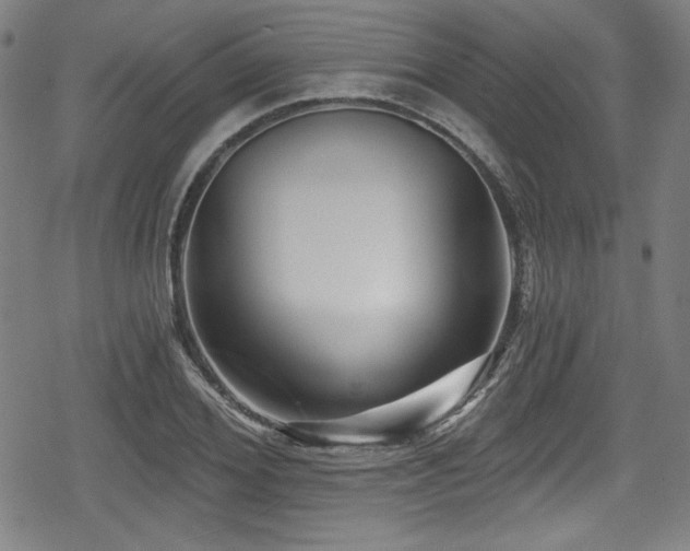 X0000078890980200611131225