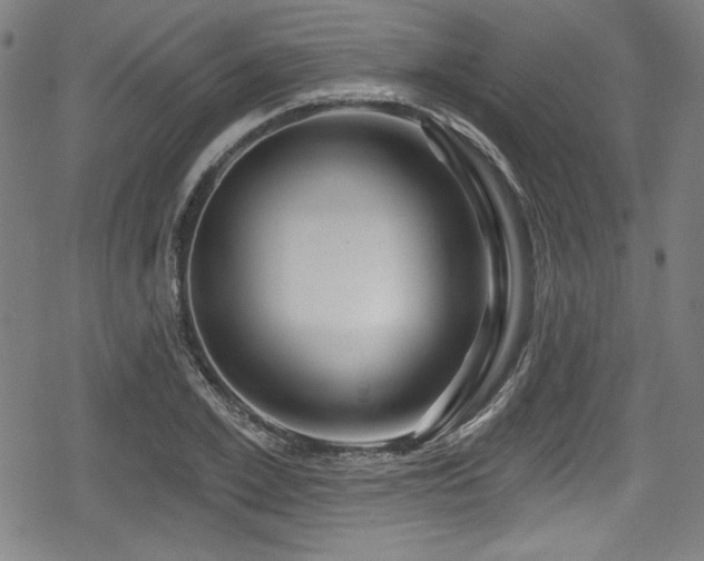 X0000078890981200611131225