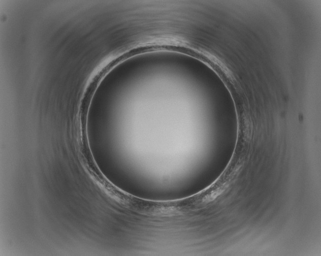 X0000078890982200611131225