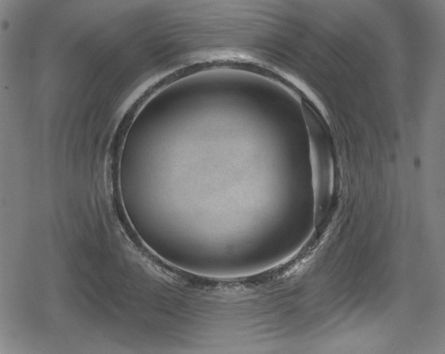 X0000078890983200611131225