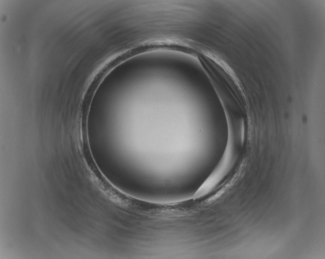 X0000078890984200611131225