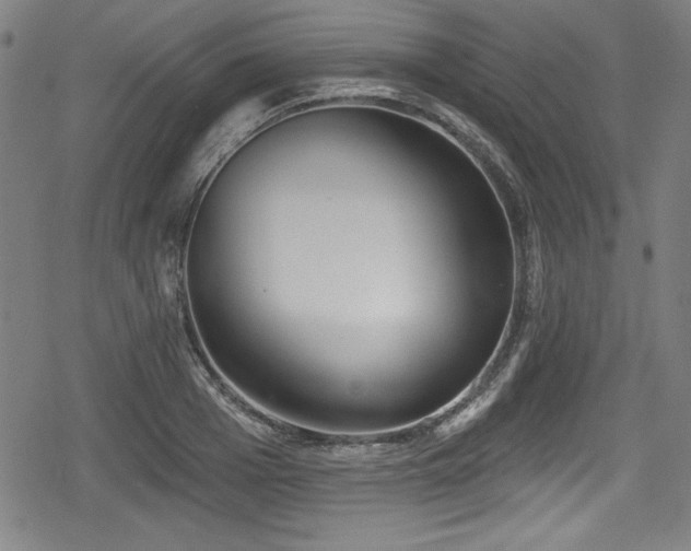 X0000078890985200611131225