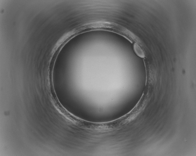 X0000078890986200611131225