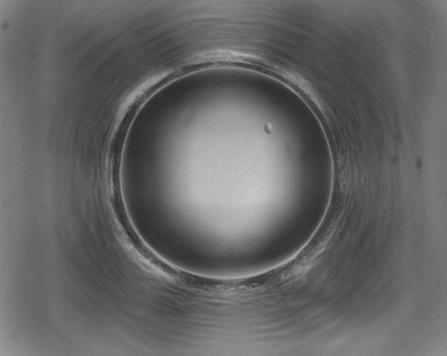 X0000078890987200611131225