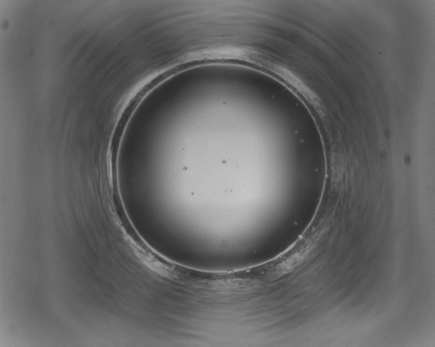 X0000078890988200611131225