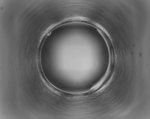 X0000078890989200611131225