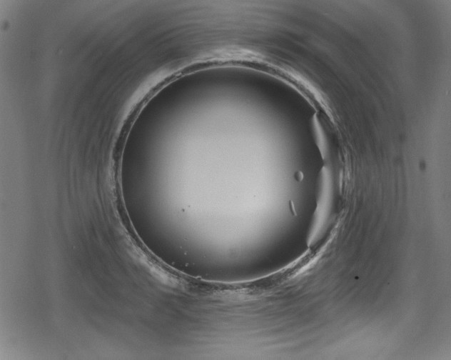 X0000078890990200611131225