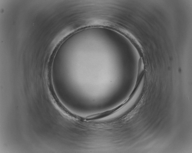 X0000078890991200611131225