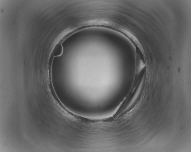 X0000078890992200611131225