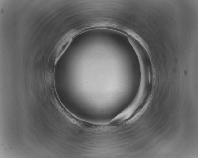 X0000078890993200611131225