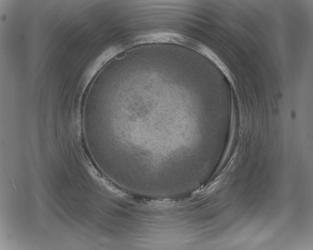 X0000078890994200611131225