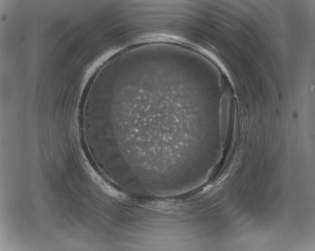 X0000078890995200611131225