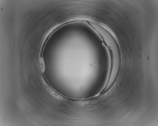 X0000078890996200611131225