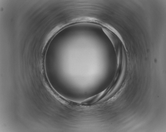 X0000078890997200611131225