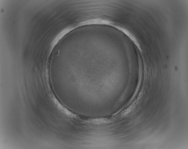 X0000078890998200611131225