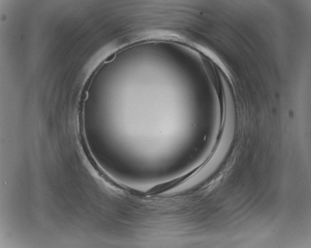 X0000078890999200611131225