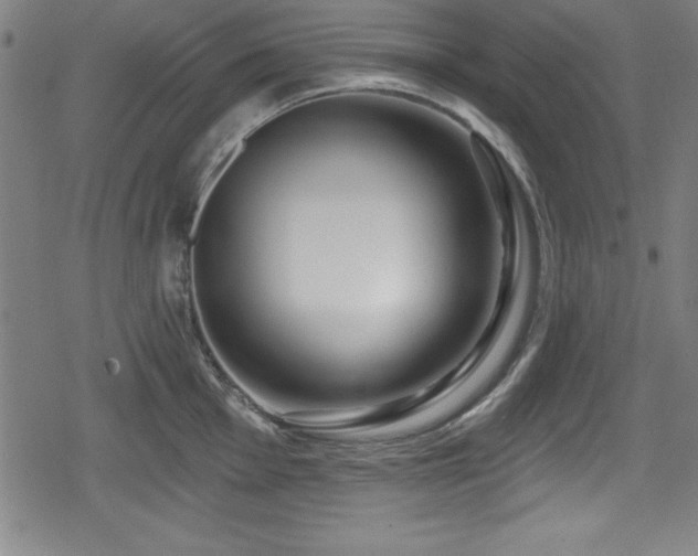 X0000078891001200611131225