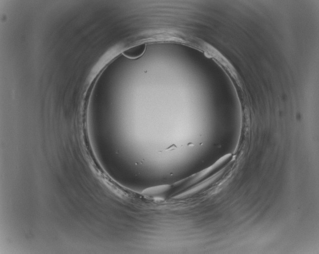 X0000078891002200611131225