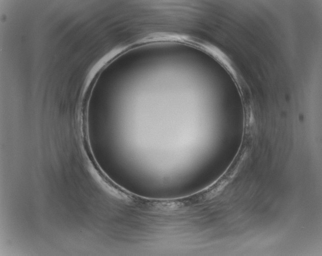 X0000078891003200611131225